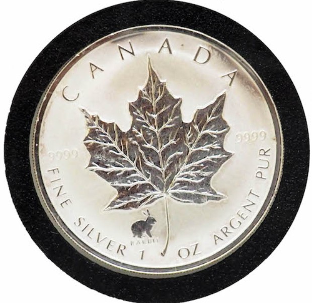 Silver Bullion In Toronto
