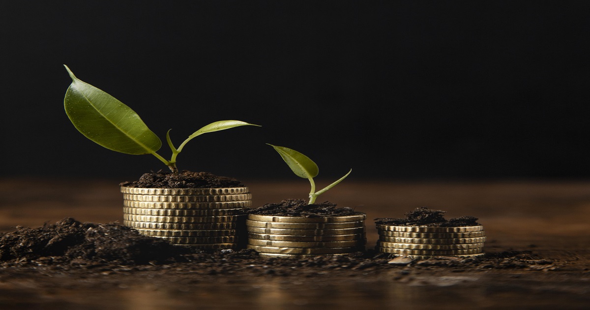 Gold Is Gaining Momentum in 2025 - 24 Gold Group Ltd.